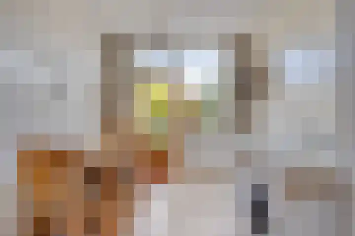 Hekelstraat 28 Oss thumbnail 13