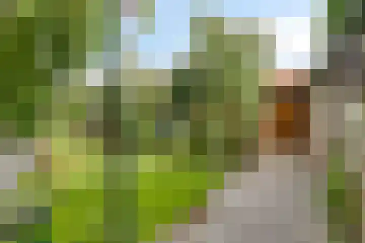 Hekelstraat 28 Oss thumbnail 23