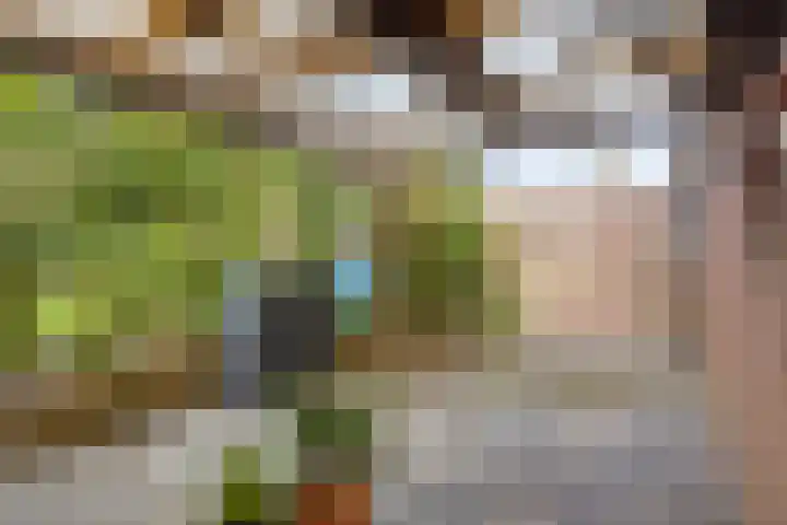 Hekelstraat 28 Oss thumbnail 25