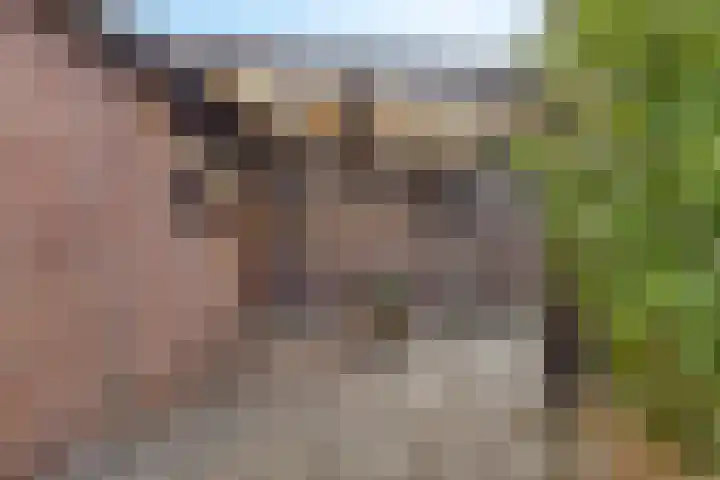 Hekelstraat 28 Oss thumbnail 26