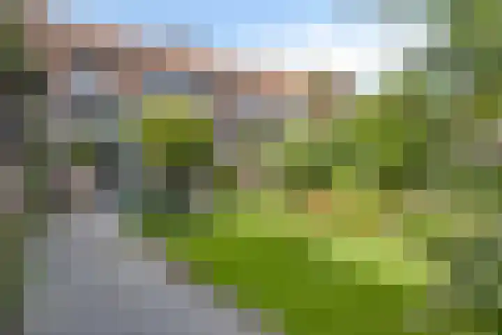 Hekelstraat 28 Oss thumbnail 4