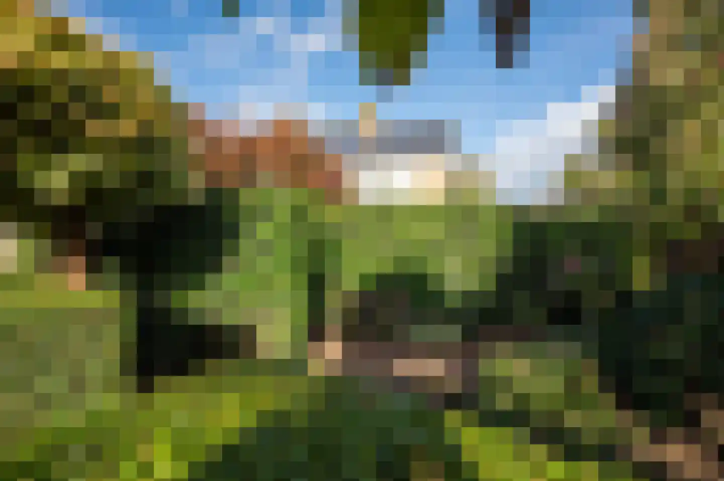 Hekendorperweg 18 Oudewater thumbnail 46
