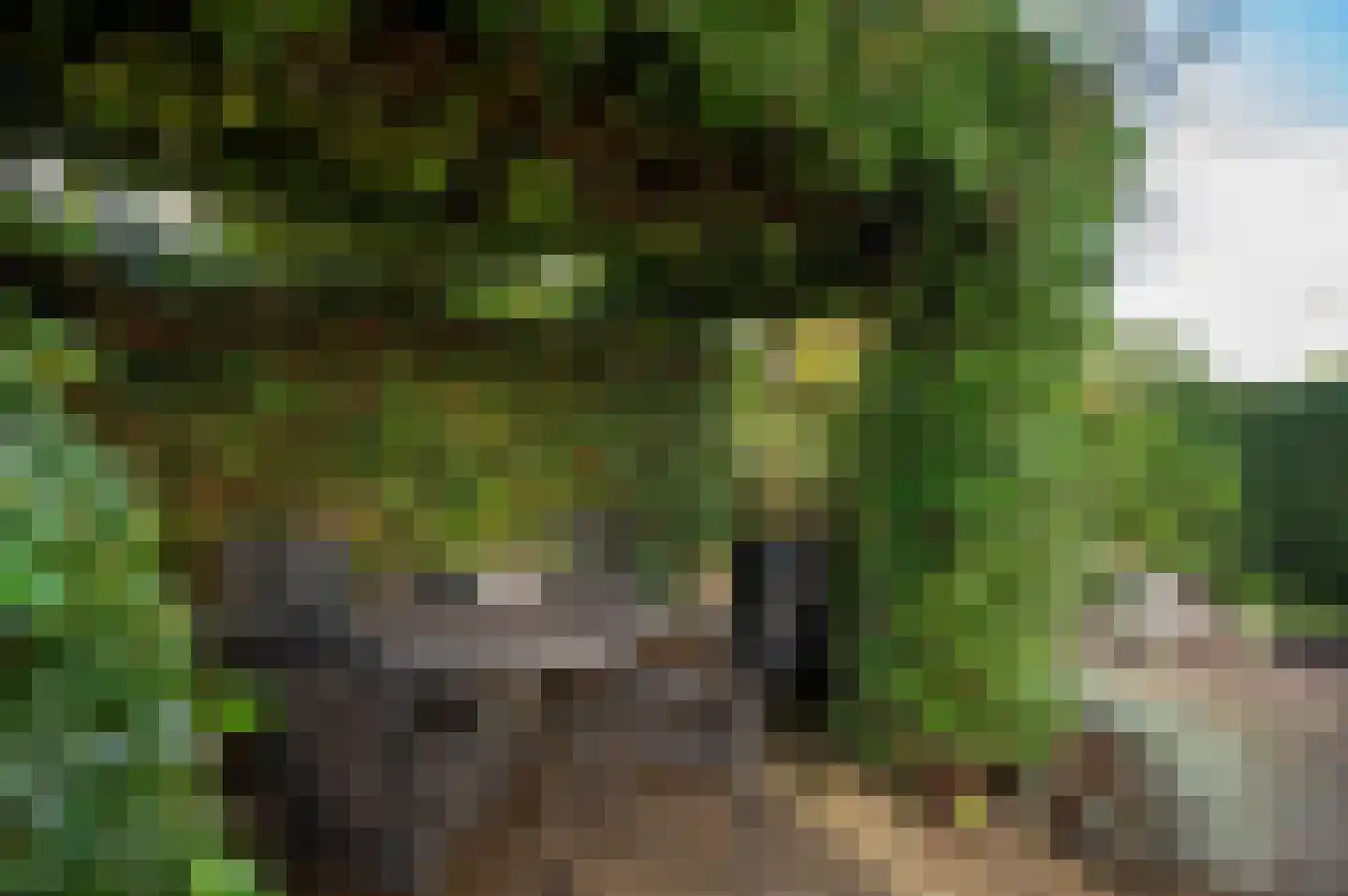 Hekendorperweg 18 Oudewater thumbnail 5