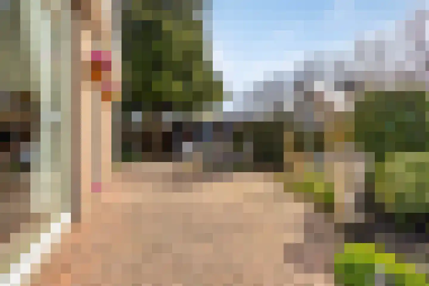 Hekendorperweg 3 Oudewater thumbnail 26