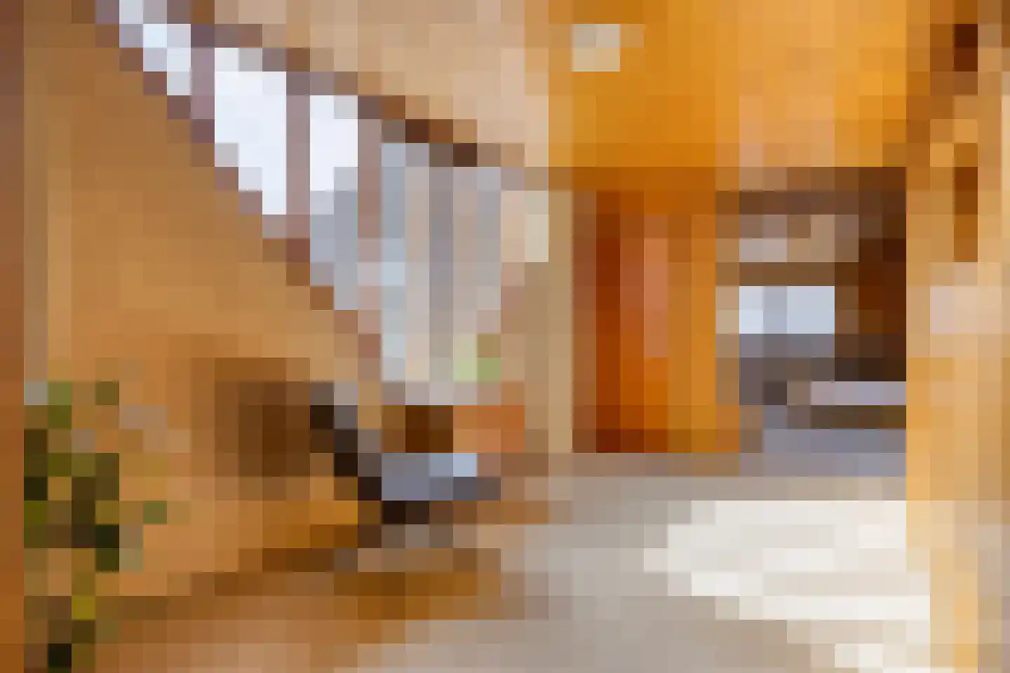 Hekendorperweg 3 Oudewater thumbnail 36