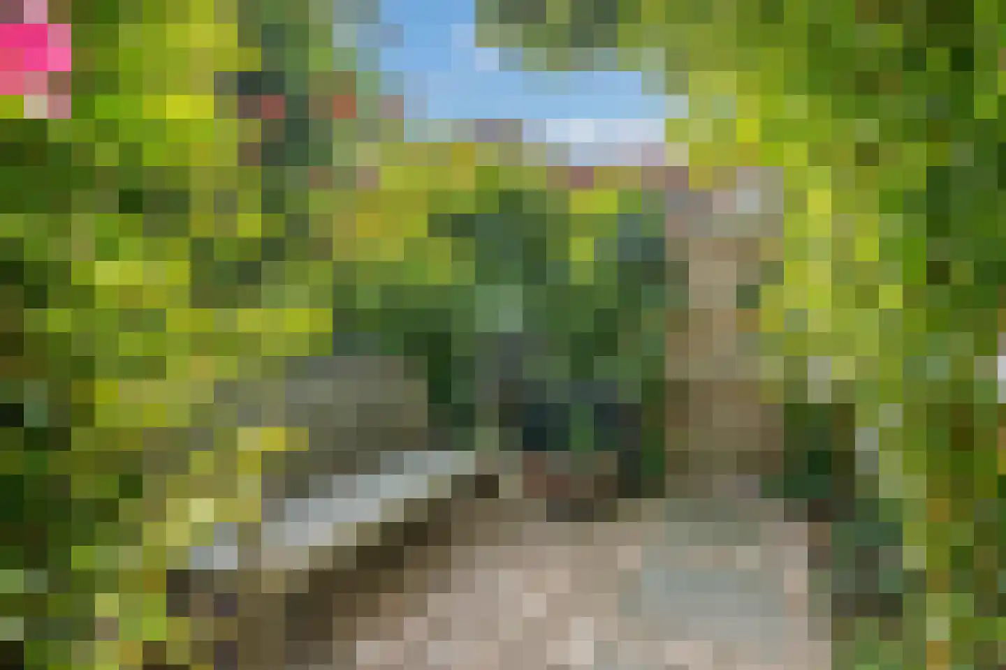 Hekendorpstraat 38 Zoetermeer thumbnail 13