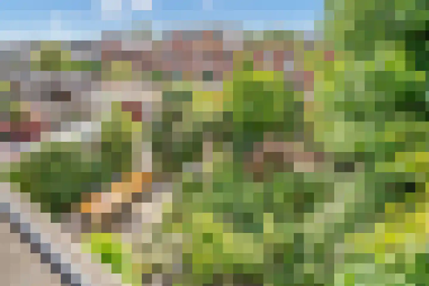 Hekendorpstraat 38 Zoetermeer thumbnail 25