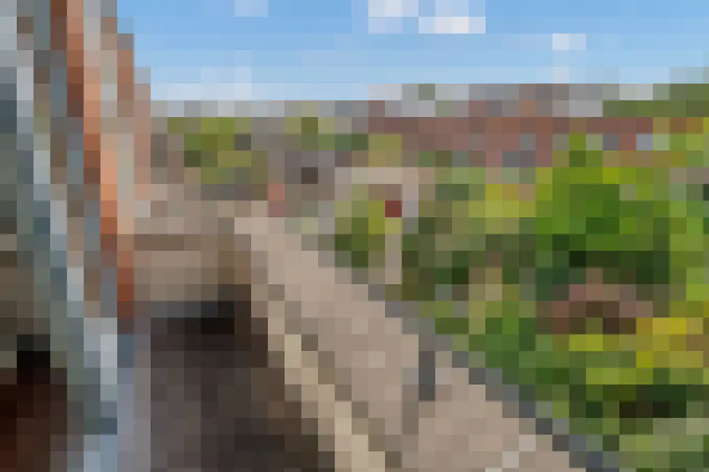 Hekendorpstraat 38 Zoetermeer thumbnail 26
