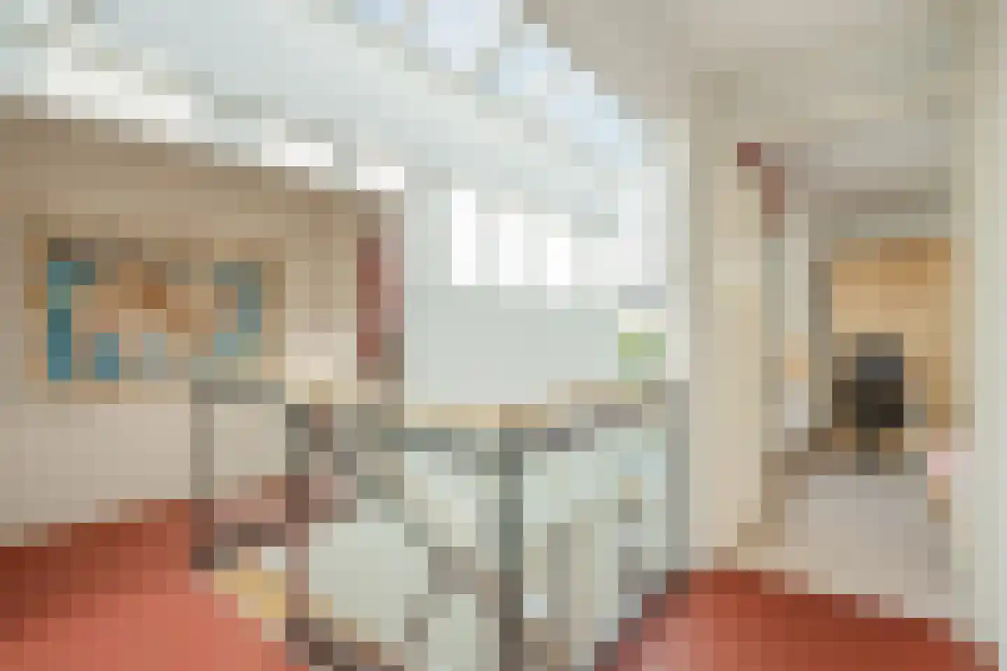 Hekendorpstraat 38 Zoetermeer thumbnail 40