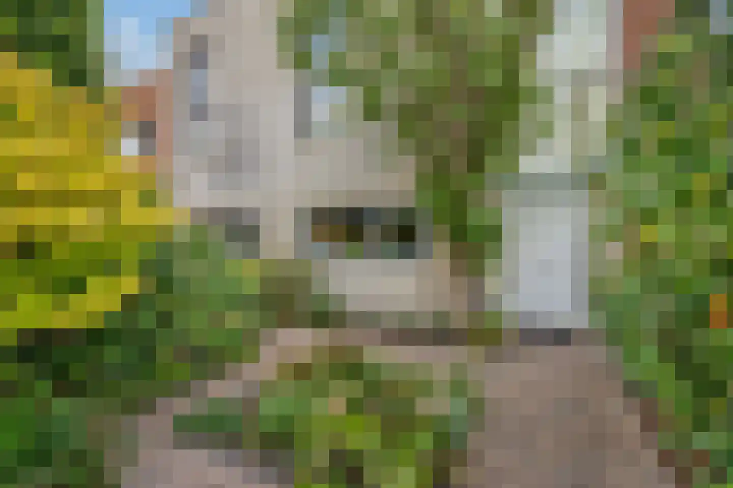 Hekendorpstraat 38 Zoetermeer thumbnail 5