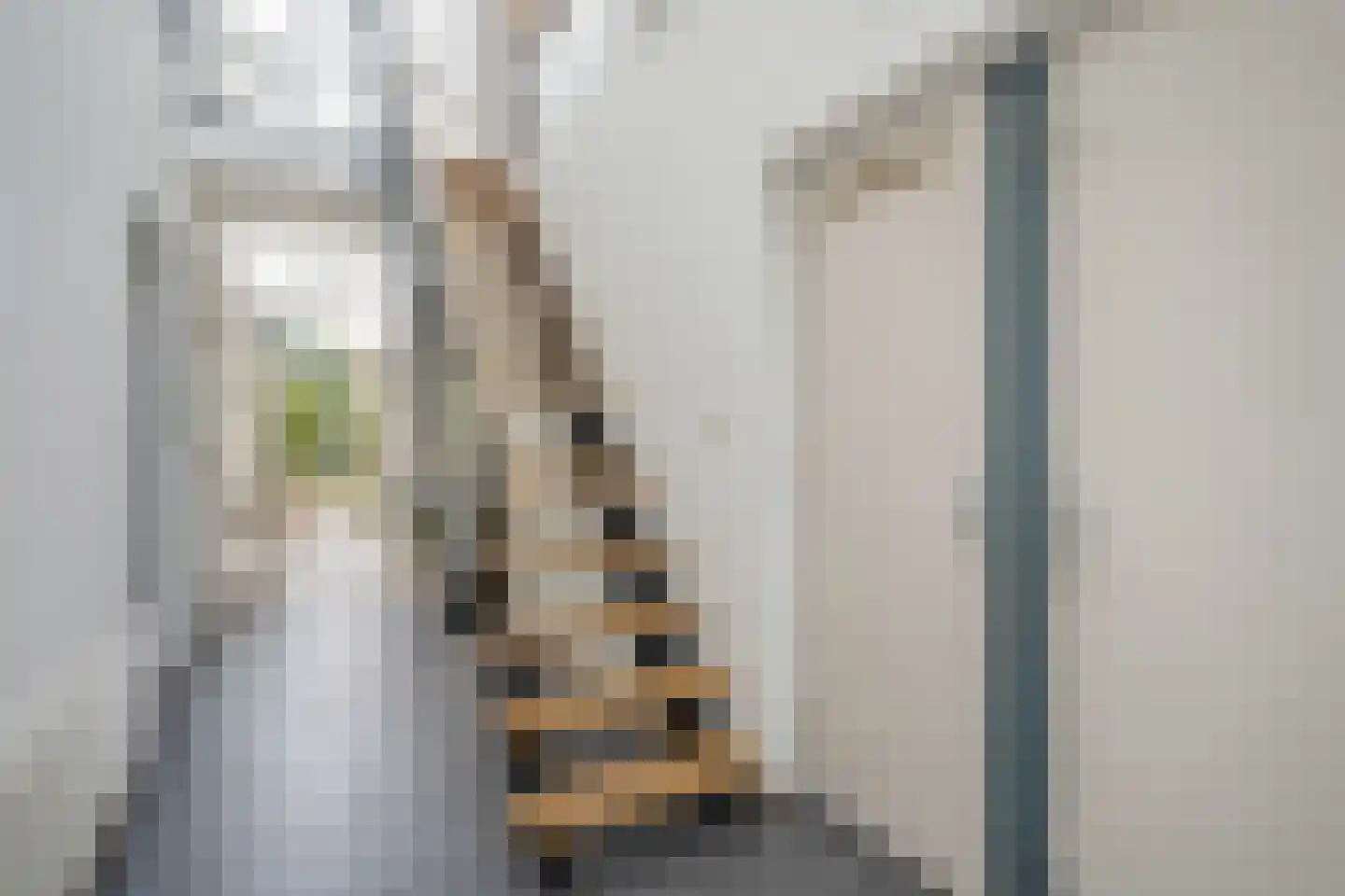 Hekendorpstraat 38 Zoetermeer thumbnail 6