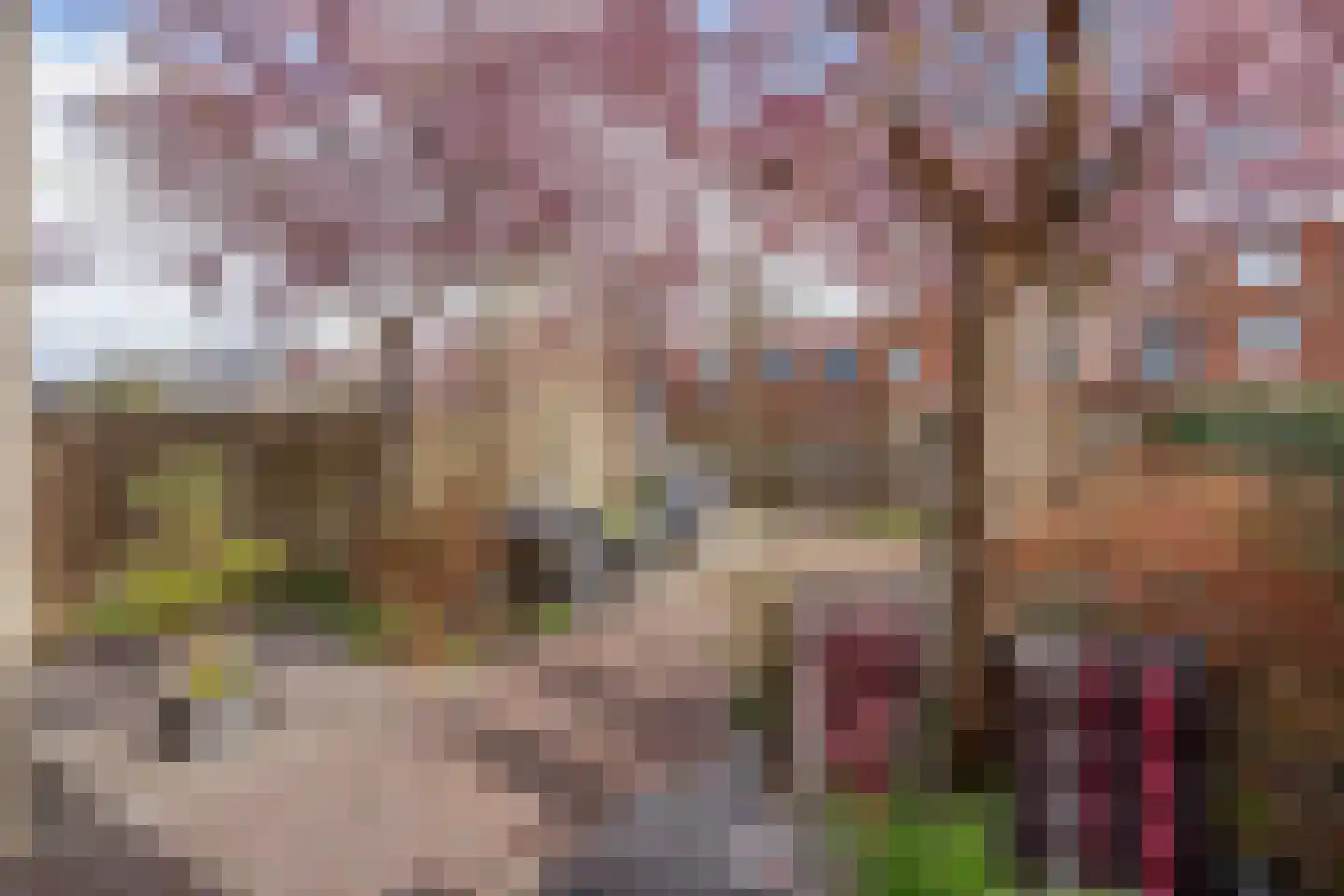 Hekendorpstraat 40 Zoetermeer thumbnail 13