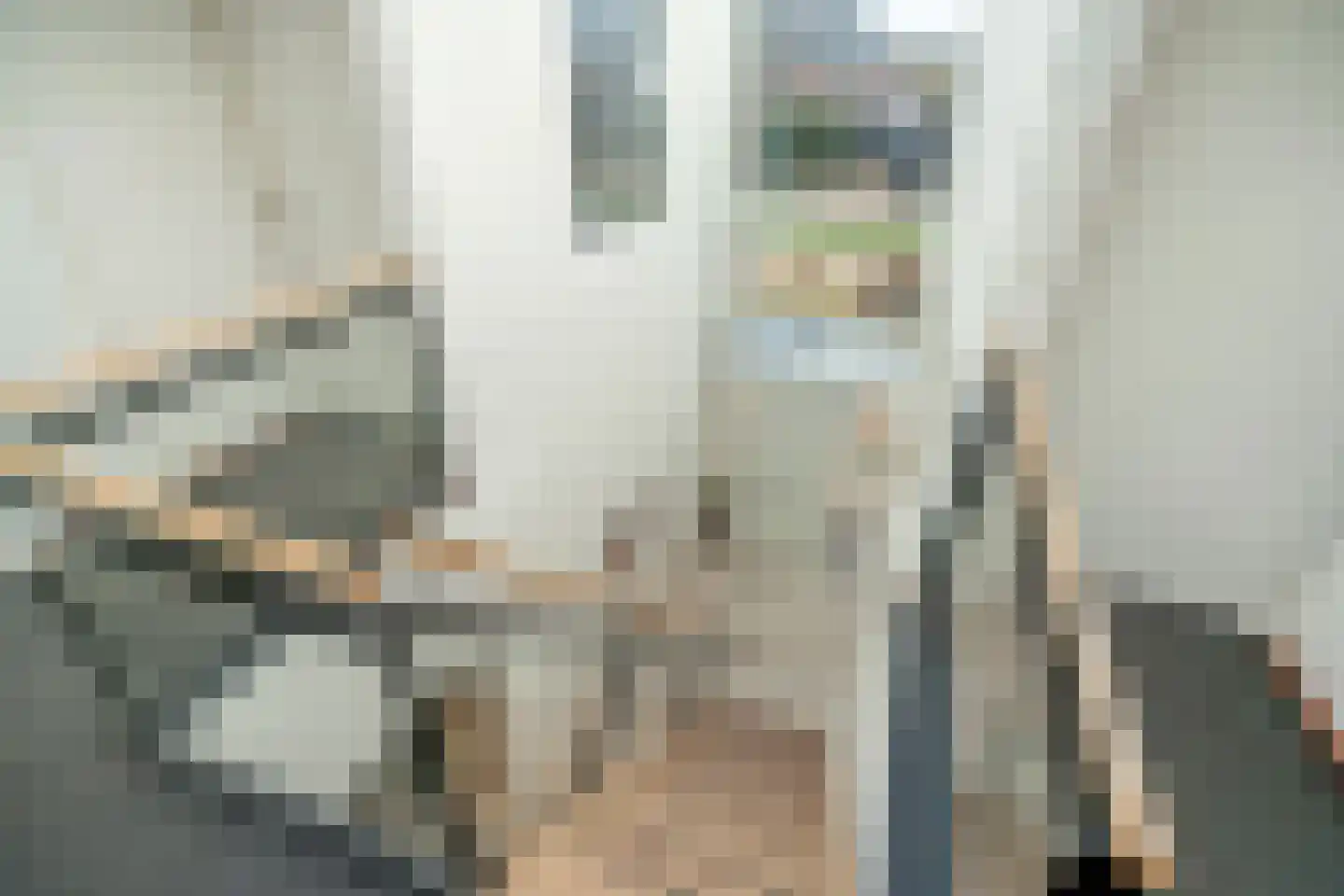 Hekendorpstraat 40 Zoetermeer thumbnail 23