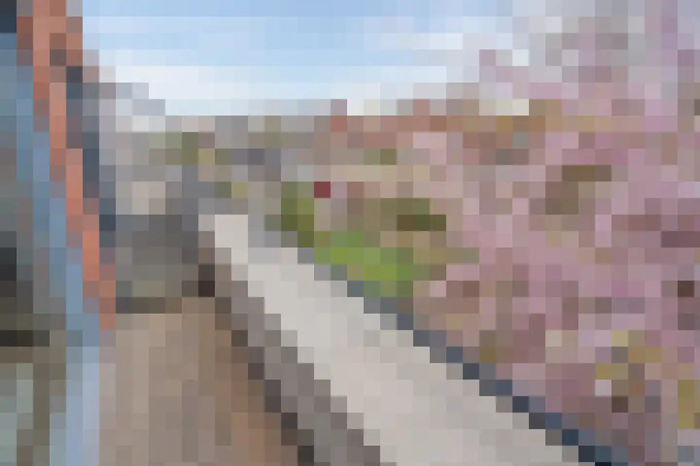 Hekendorpstraat 40 Zoetermeer thumbnail 25