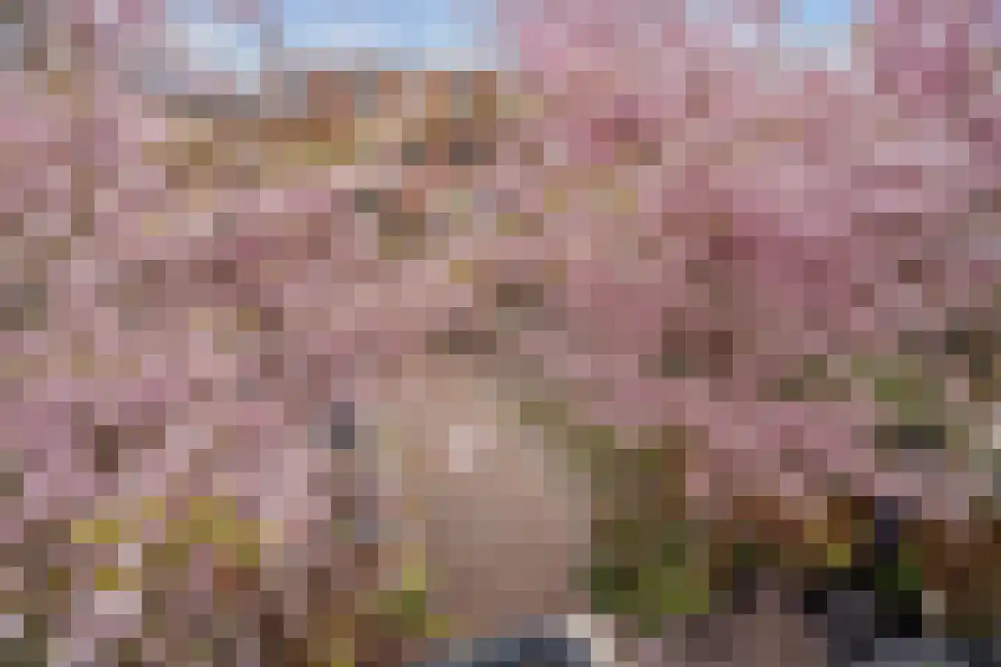 Hekendorpstraat 40 Zoetermeer thumbnail 26