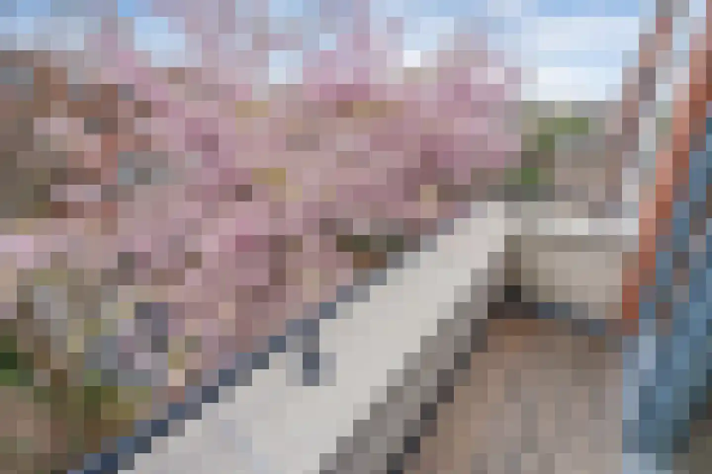 Hekendorpstraat 40 Zoetermeer thumbnail 27