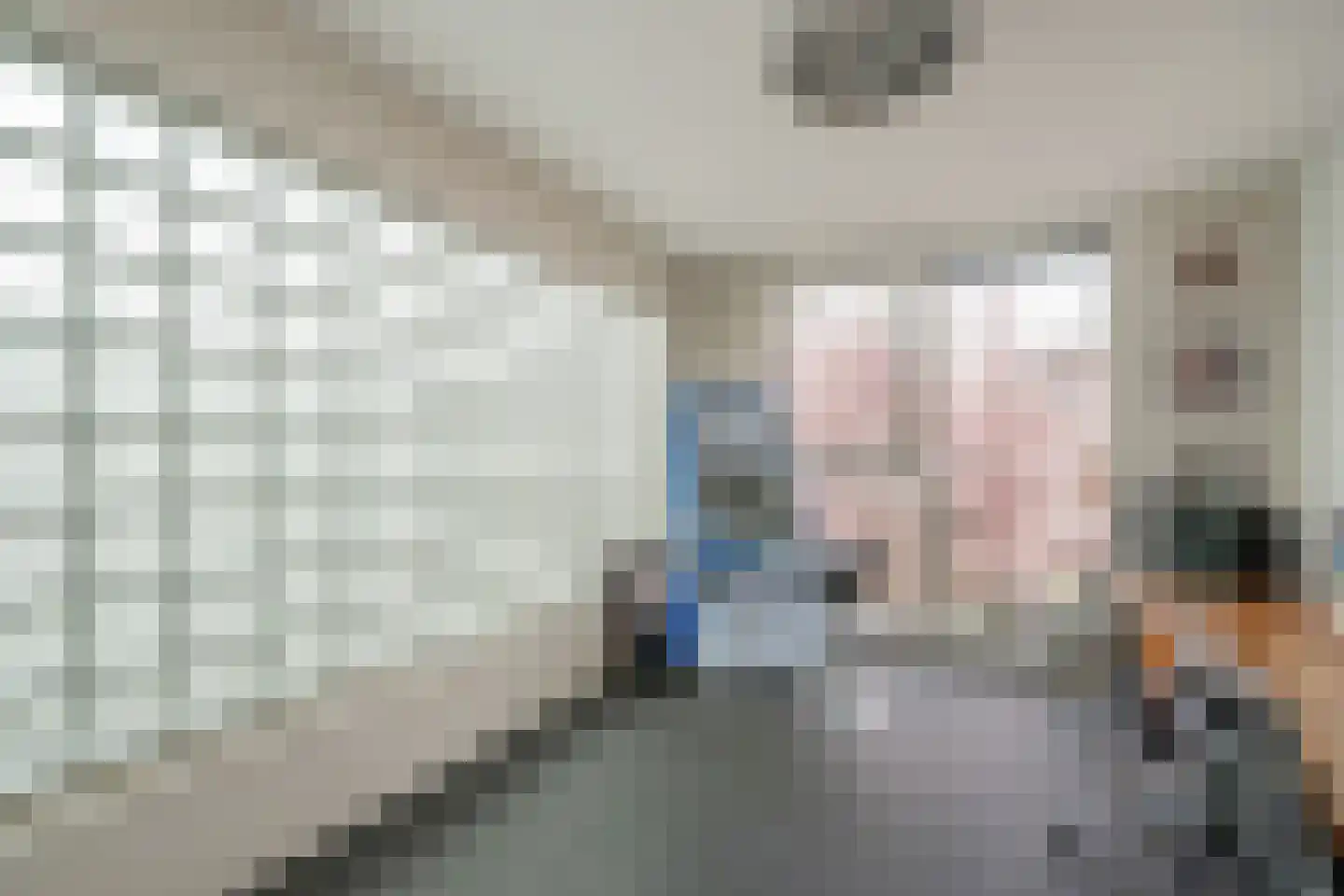 Hekendorpstraat 40 Zoetermeer thumbnail 32