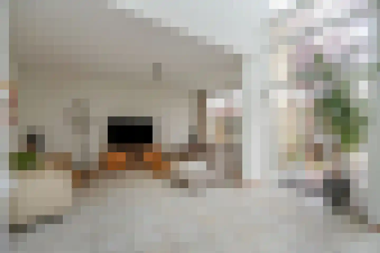 Hekendorpstraat 40 Zoetermeer thumbnail 9