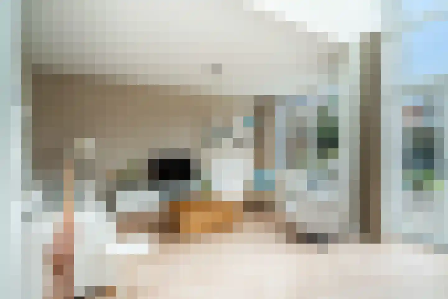 Hekendorpstraat 46 Zoetermeer thumbnail 14