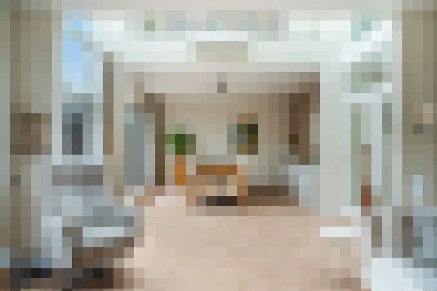 Hekendorpstraat 46 Zoetermeer thumbnail 15