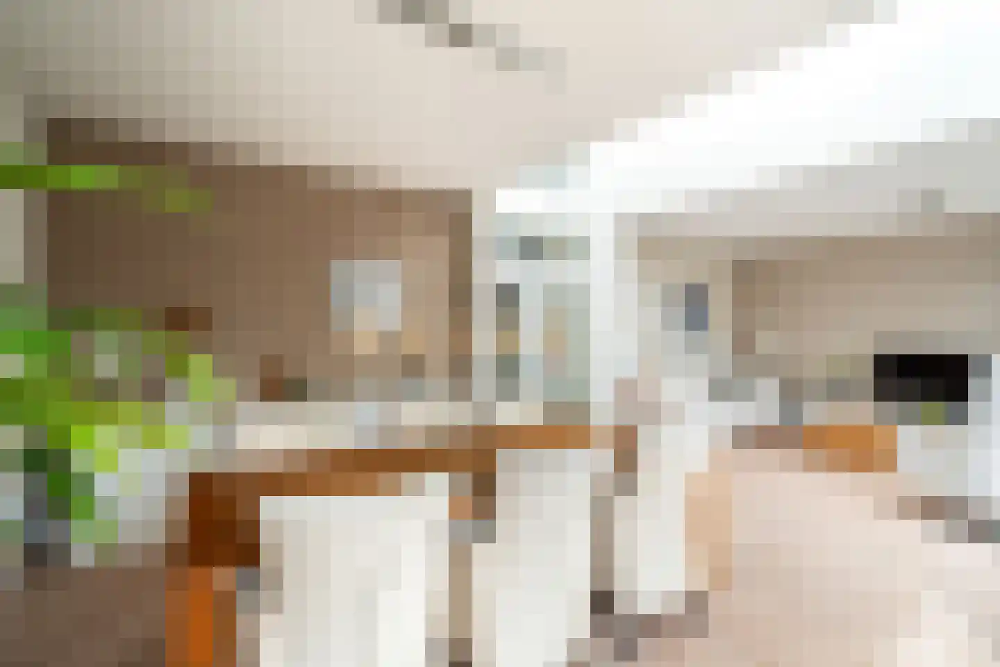 Hekendorpstraat 46 Zoetermeer thumbnail 17