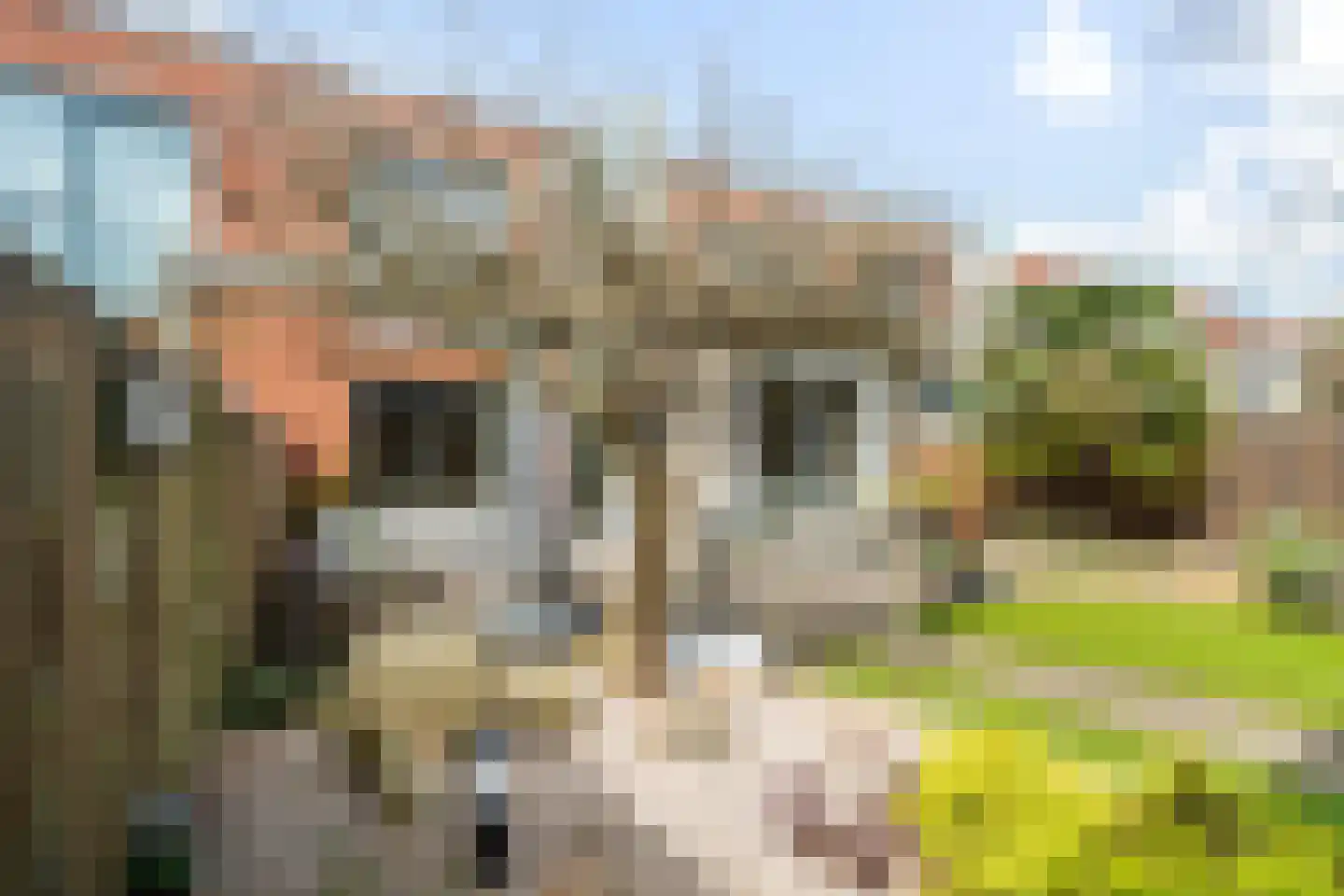 Hekendorpstraat 46 Zoetermeer thumbnail 26