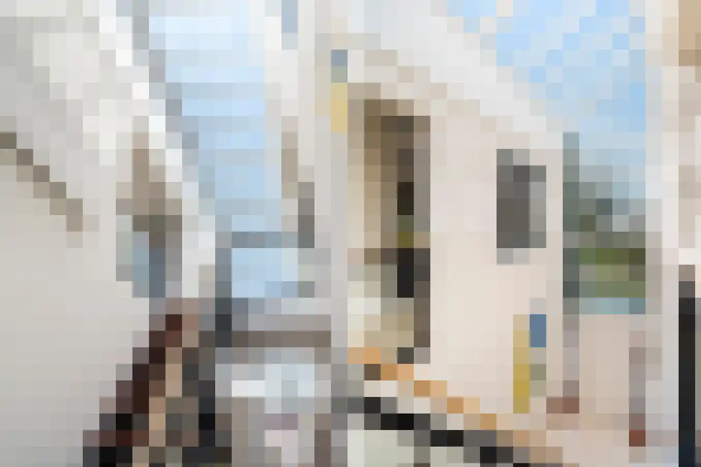 Hekendorpstraat 46 Zoetermeer thumbnail 35