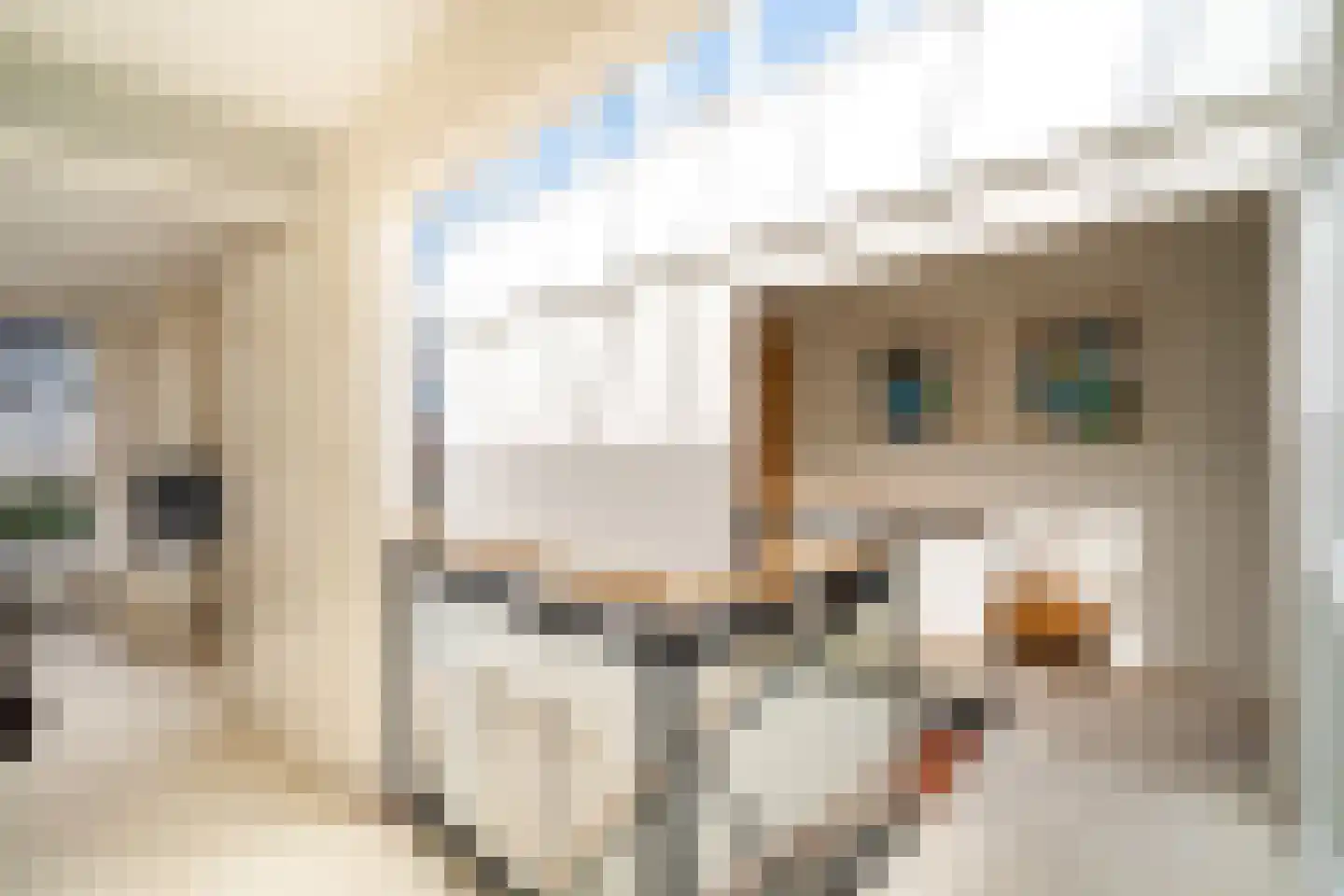 Hekendorpstraat 46 Zoetermeer thumbnail 36