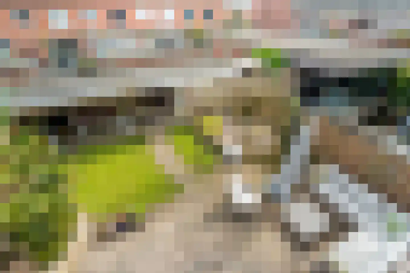 Hekendorpstraat 46 Zoetermeer thumbnail 39