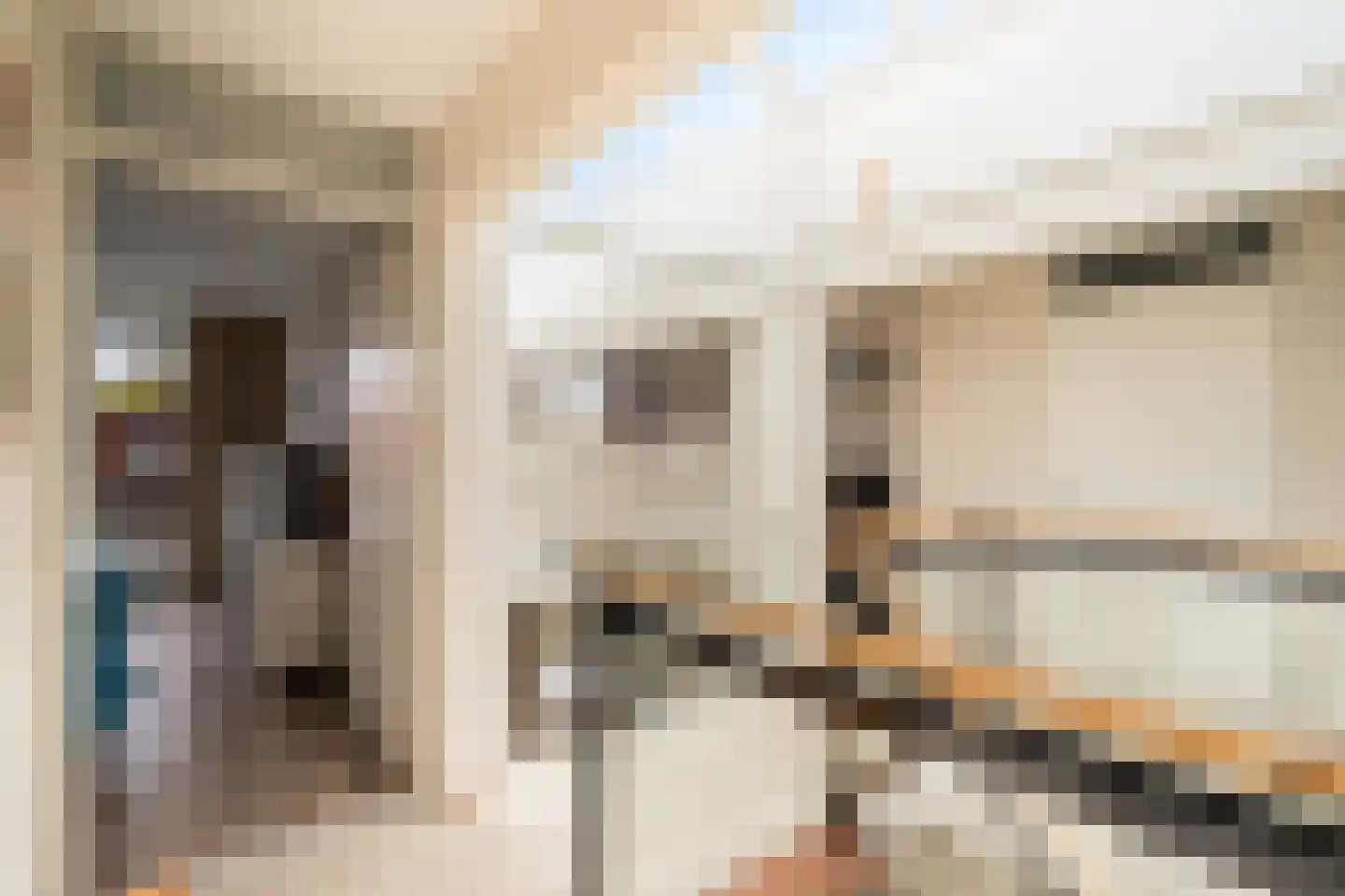Hekendorpstraat 46 Zoetermeer thumbnail 44