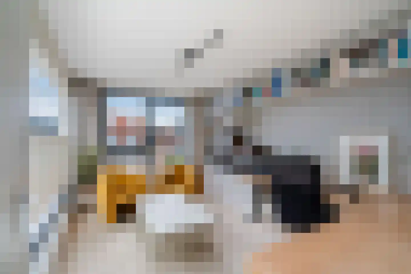Hekendorpstraat 46 Zoetermeer thumbnail 45