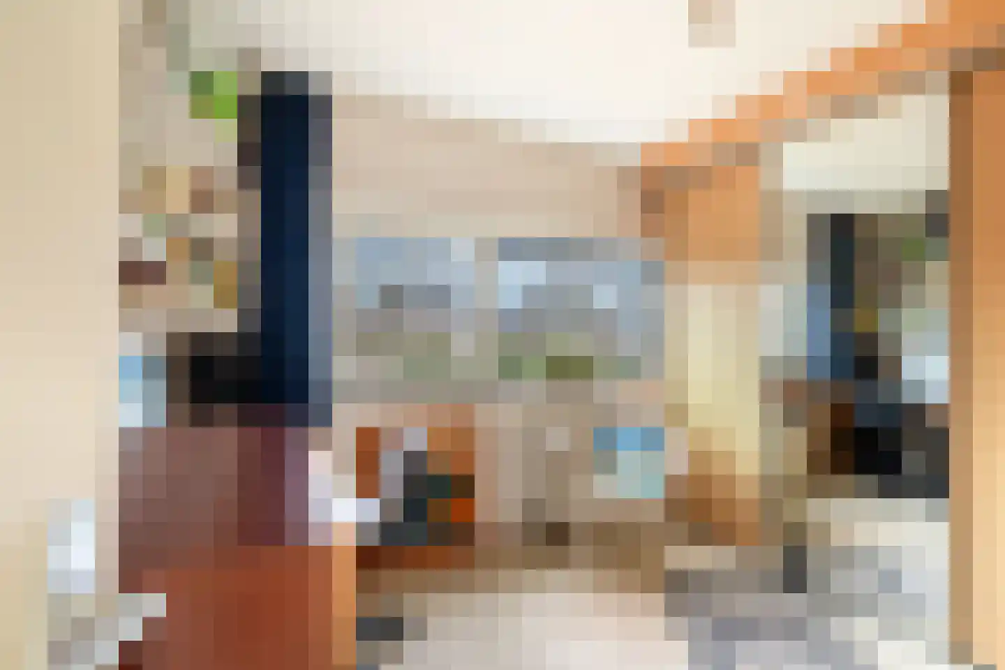 Hekendorpstraat 46 Zoetermeer thumbnail 50