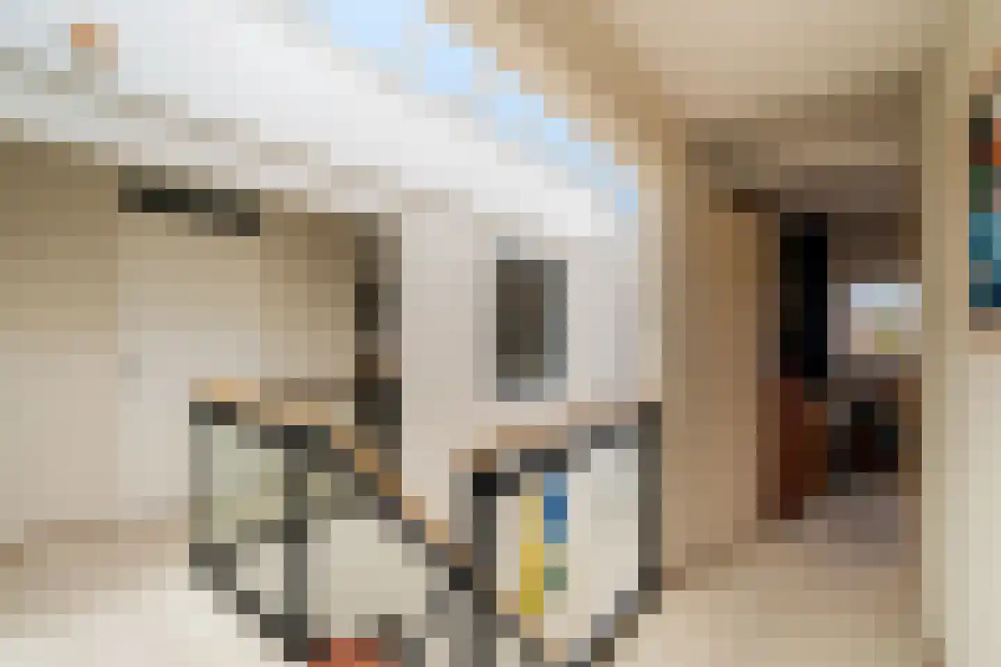 Hekendorpstraat 46 Zoetermeer thumbnail 54