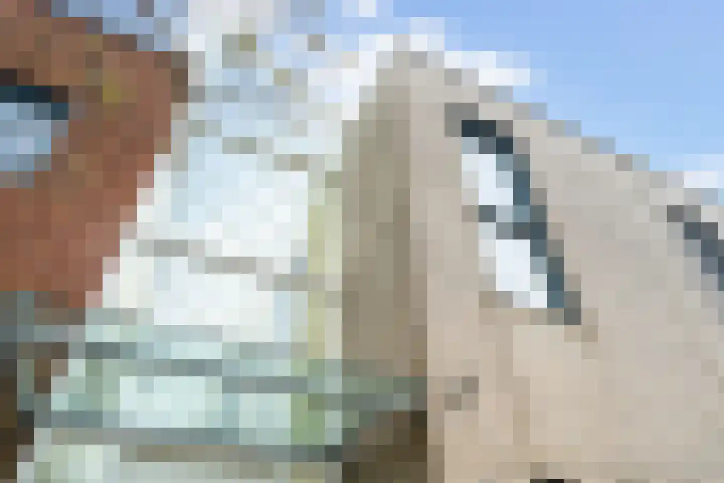 Hekendorpstraat 46 Zoetermeer thumbnail 8