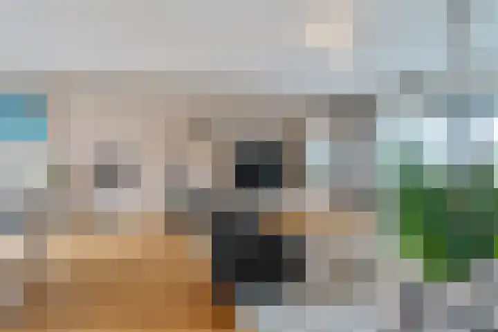 Hekendorpstraat 64 Zoetermeer thumbnail 12