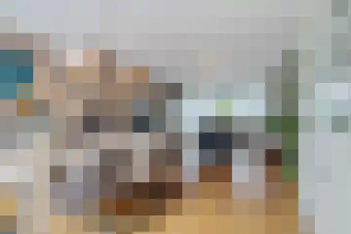Hekendorpstraat 64 Zoetermeer thumbnail 21