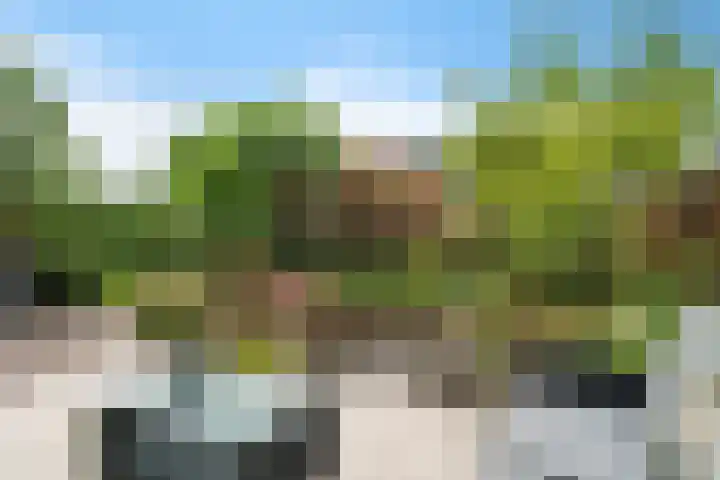 Hekendorpstraat 64 Zoetermeer thumbnail 27