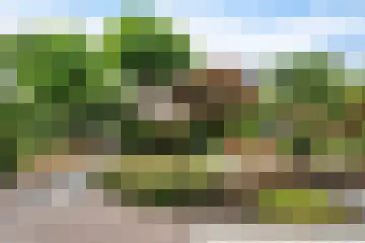 Hekendorpstraat 64 Zoetermeer thumbnail 28