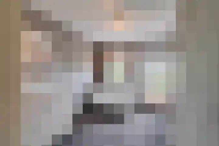 Hekendorpstraat 64 Zoetermeer thumbnail 43