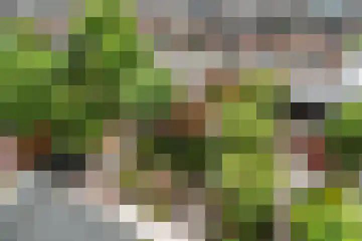 Hekendorpstraat 64 Zoetermeer thumbnail 53
