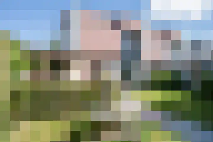 Hekerbeek 20 Geleen thumbnail 27