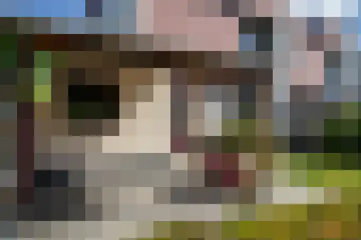 Hekerbeek 20 Geleen thumbnail 29