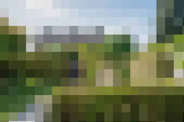 Hekerbeek 20 Geleen thumbnail 30
