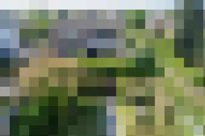 Hekerbeek 20 Geleen thumbnail 48