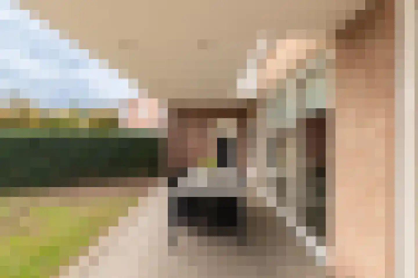 Hekerbeek 26 Geleen thumbnail 21