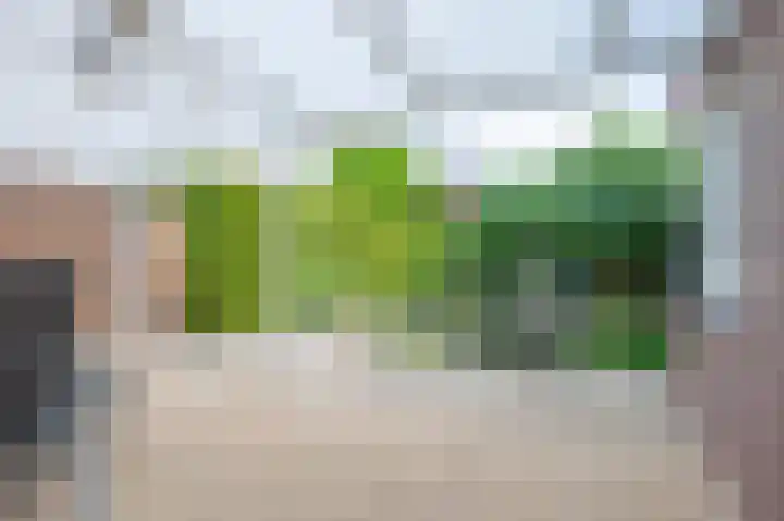 Hekerbeek 34 Geleen thumbnail 30