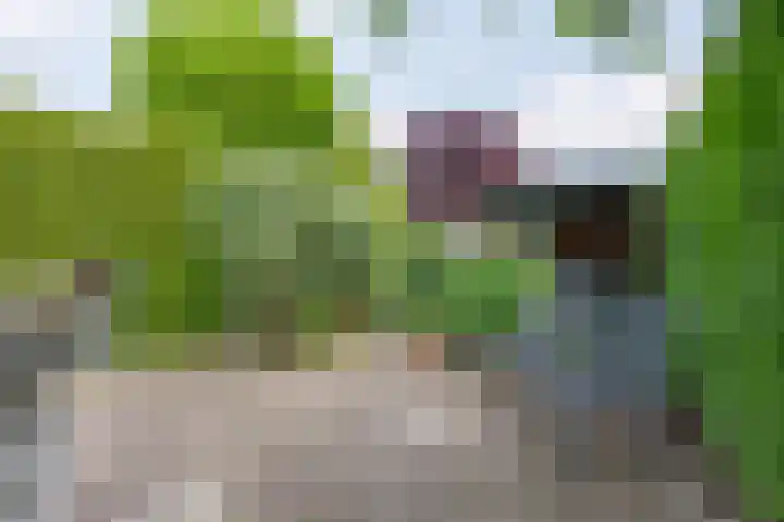 Hekerbeek 34 Geleen thumbnail 33