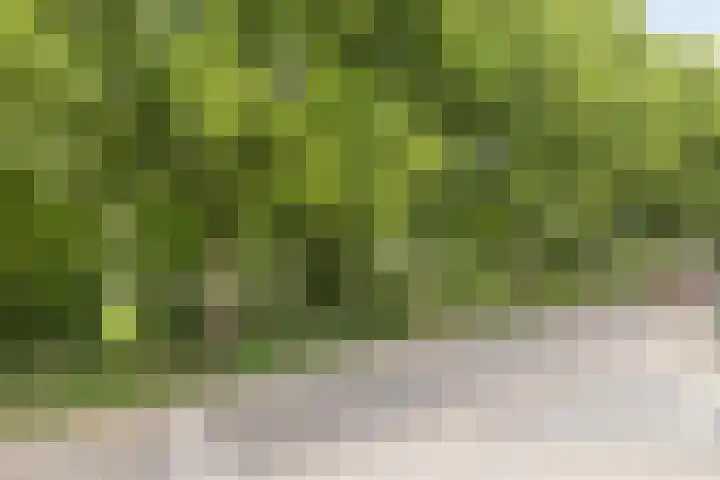 Hekerbeekweg 22 Valkenburg thumbnail 35