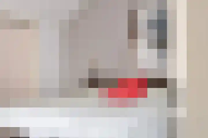 Hekkemansbeld 12 Hengevelde thumbnail 15