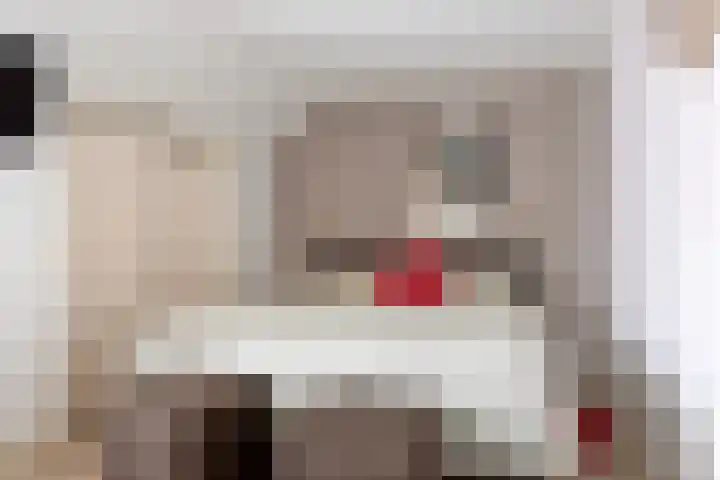 Hekkemansbeld 12 Hengevelde thumbnail 16